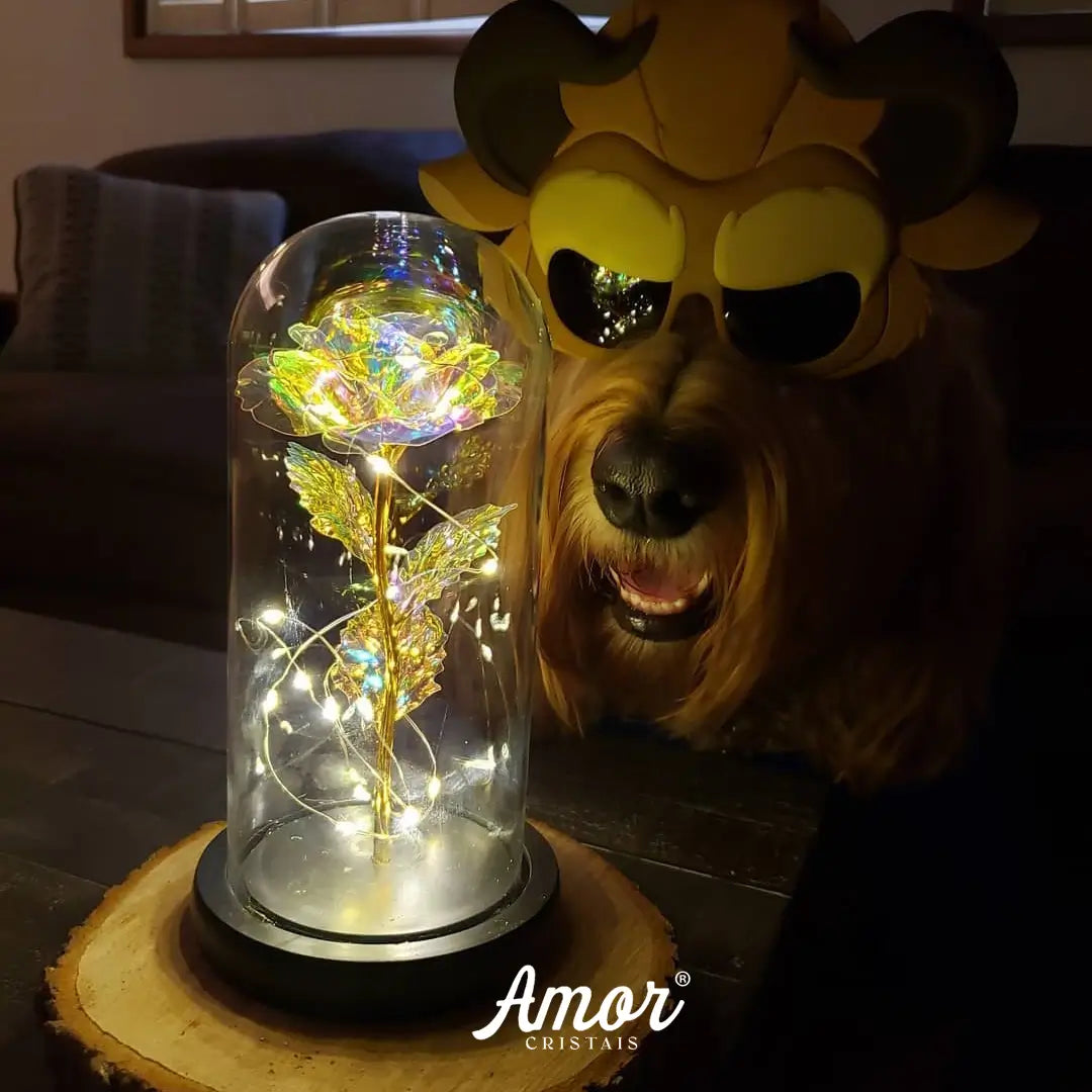 Rosa Cristal Bela e a Fera com Led + Cúpula de Vidro Verdadeiro